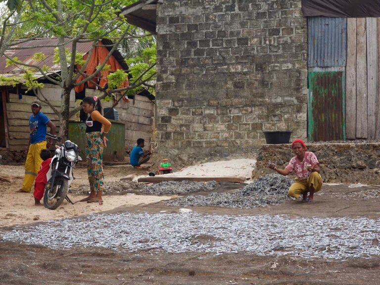 Building-Governance-of-the-Coral-Triangle1