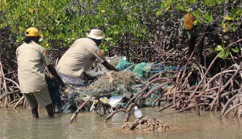 Yirralka Laynhapuy rangers extracting nets from the mangroves. Photo by Jane Dermer.