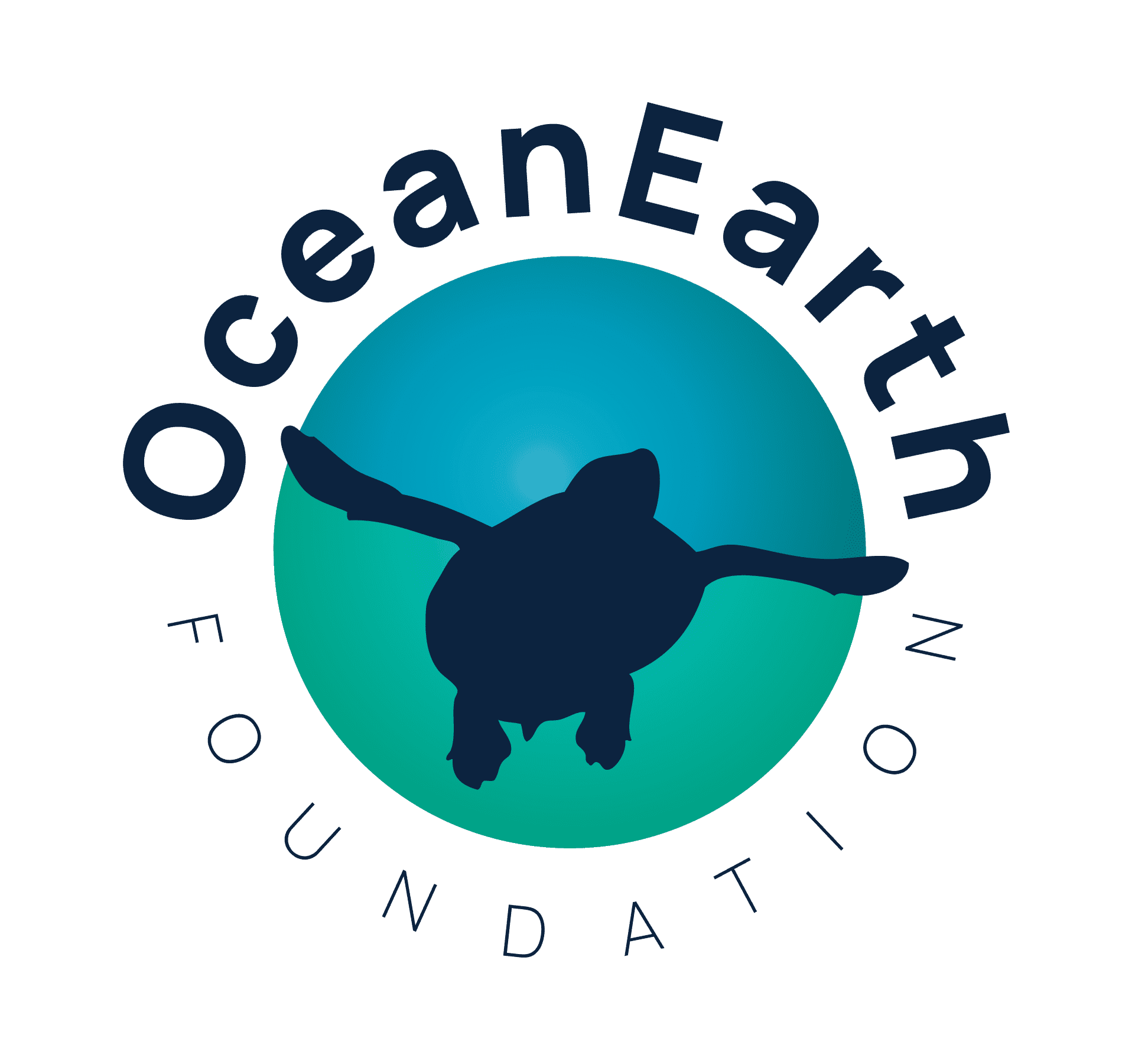 OceanEarth Brand - Final_OE LOGO